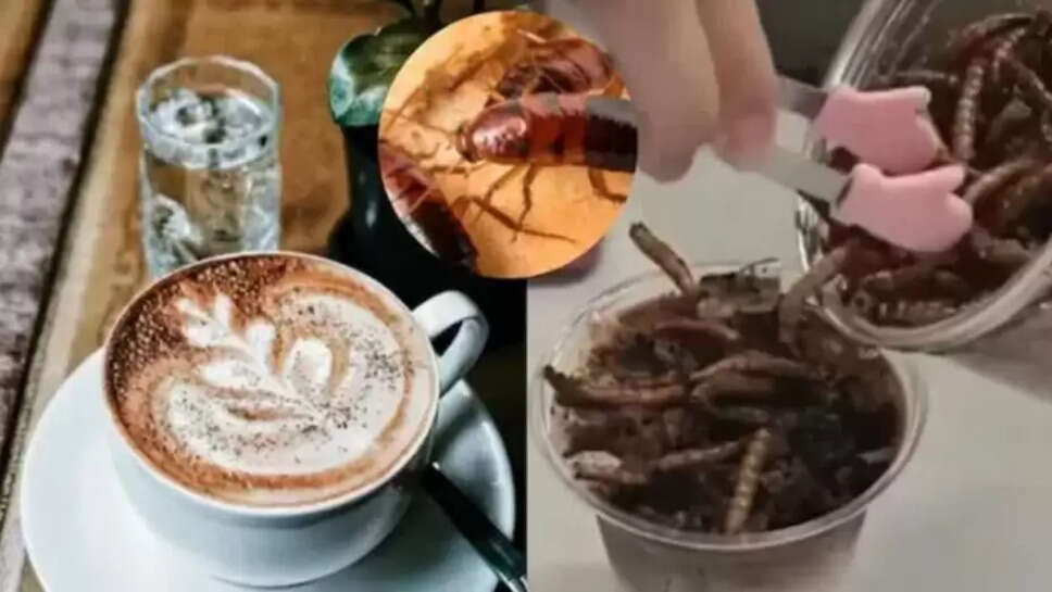 Dead cockroch coffee news