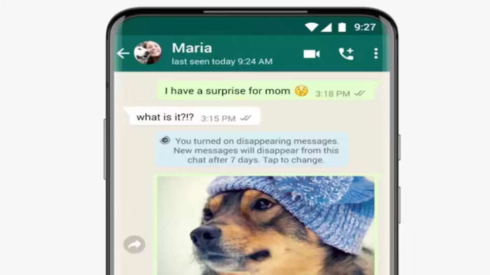 Whatsapp Disapper messeges